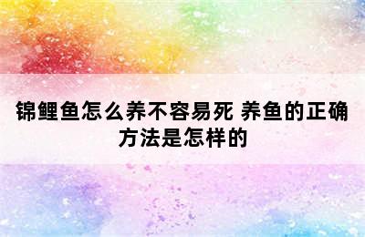 锦鲤鱼怎么养不容易死 养鱼的正确方法是怎样的